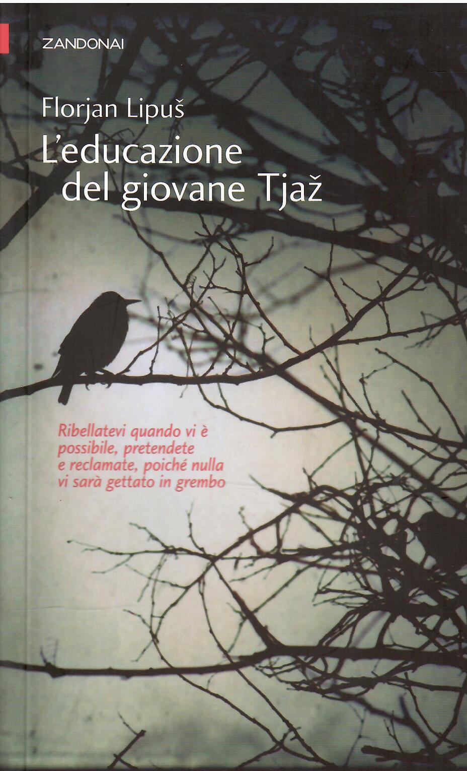 Libroteka di Fattoretti Silvia