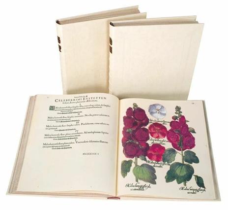 Hortus Eystettensys. Il più bel florilegio del '600. Facsimile da collezione completo di commentario e DVD. Ediz. italiana, inglese e tedesca - Basilius Besler - 5