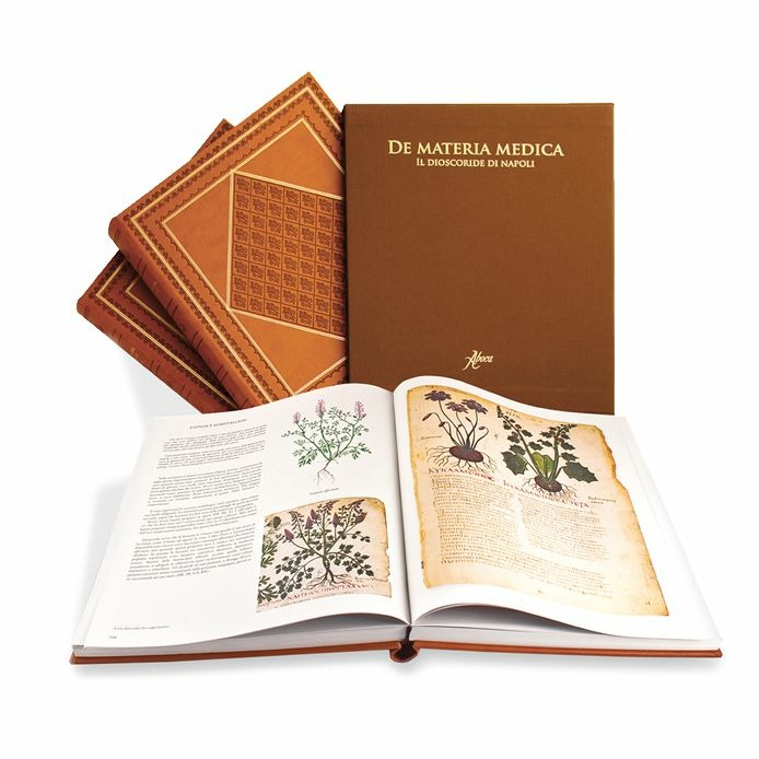 Libreria Imagine's Book