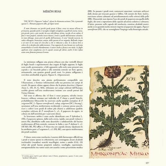 De materia medica. Il Dioscoride di Napoli. Riproduzione facsimilare - Dioscoride di Anazarbo - 8