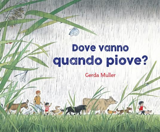 Dove vanno quando piove? Ediz. illustrata - Gerda Muller - copertina