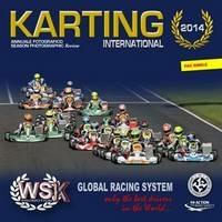 Libro Karting internazionale 2014. I campionati WSK, CUC-FIA e Formula 4 Italia. Ediz. italiana e inglese Fernando Morandi