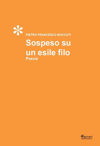 Sospeso su un esile filo - Pietro F. Boccuti - copertina