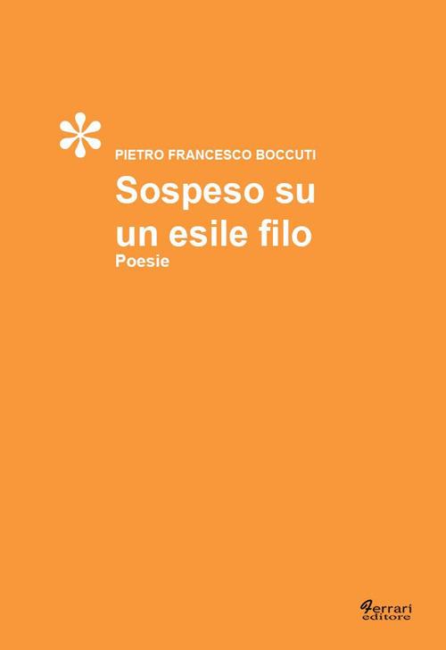 Sospeso su un esile filo - Pietro F. Boccuti - copertina