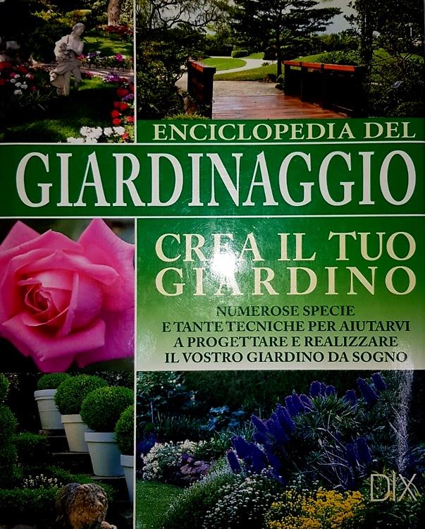 Firenze Libri