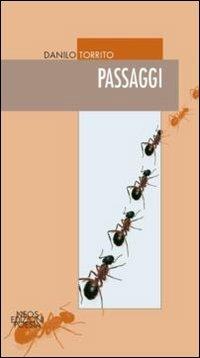 Passaggi - Danilo Torrito - copertina