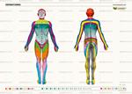 Osteoposter dermatomi corpo intero. Ediz. illustrata
