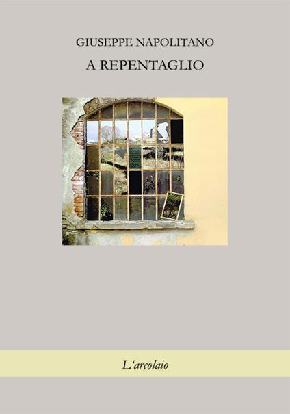 A repentaglio - Giuseppe Napolitano - copertina