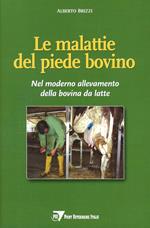 Le malattie del piede bovino. Nel moderno allevamento della bovina da latte