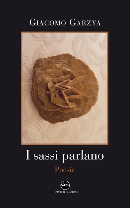 I sassi parlano - Giacomo Garzya - copertina