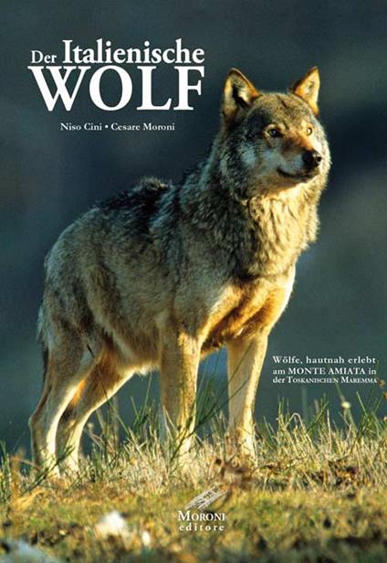 Der Italianische Wolf. Gelebte alltagsleben der apenninischen Wölfe am Monte Amiata in der Toskanischen Maremma - Niso Cini,Cesare Moroni - copertina