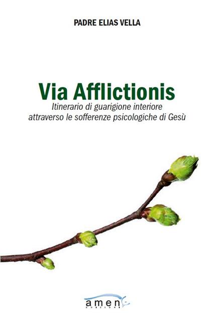 Via afflictionis. Itinerario di guarigione interiore attraverso le sofferenze psicologiche di Gesù - Elias Vella - copertina