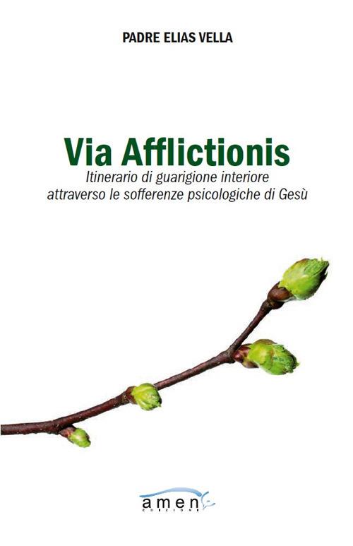 Via afflictionis. Itinerario di guarigione interiore attraverso le sofferenze psicologiche di Gesù - Elias Vella - copertina