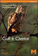 Gufi e civette