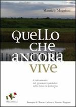 Quello che ancora vive. Il salvamento del generale Garibaldi nelle terre di Romagna