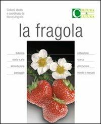 La fragola - copertina