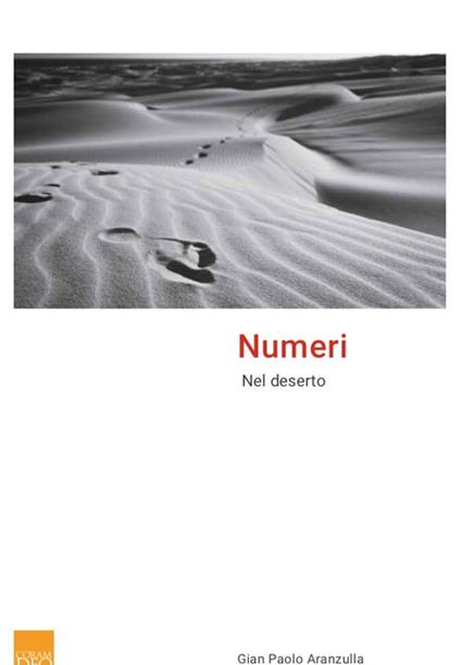 Numeri - Gian Paolo Aranzulla - copertina