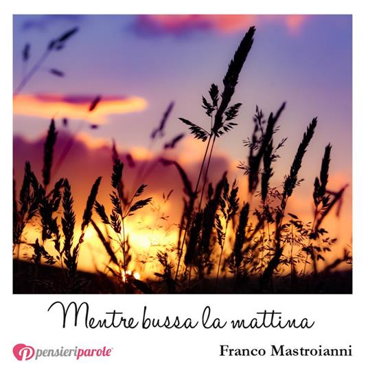 Mentre bussa la mattina - Franco Mastroianni - copertina