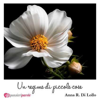 Un regime di piccole cose - Anna R. Di Lollo - copertina