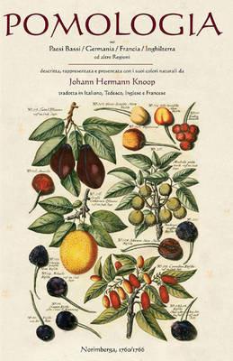 Pomologia nei Paesi Bassi, Germania, Francia, Inghilterra ed altre regioni. Ediz. tedesca - Johann H. Knoop - copertina