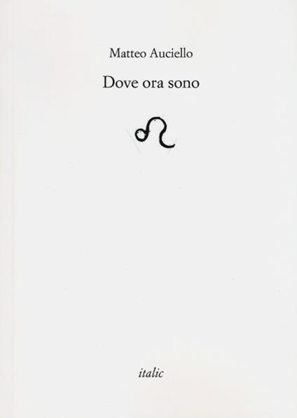 Dove ora sono - Matteo Auciello - copertina