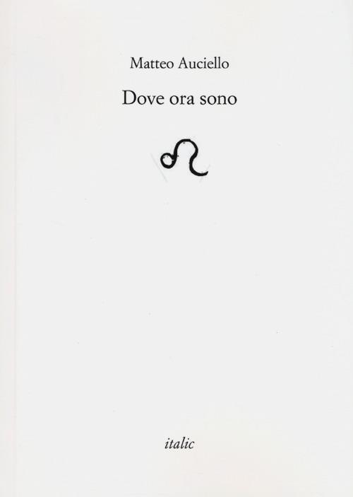 Dove ora sono - Matteo Auciello - copertina