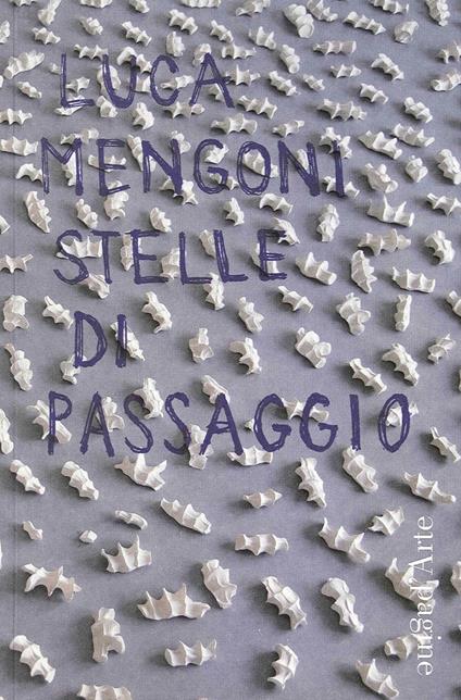 Luca Mengoni. Stelle di passaggio. Ediz. illustrata - Maria Inglese - copertina