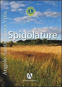 Spigolature - copertina