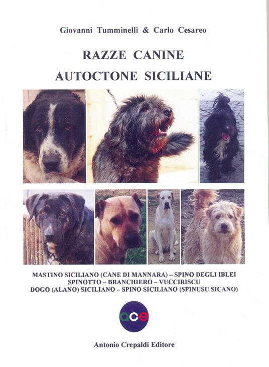 Razze canine autoctone siciliane. Mastino siciliano (Cane di Mannara). Spino degli Iblei. Spinotto. Branchiero. Vucciriscu. Dogo (Alano) Siciliano. Spino siciliano (Spinusu sicano) - Giovanni Tumminelli,Carlo Cesareo - copertina