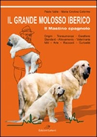 Libreria Postumia
