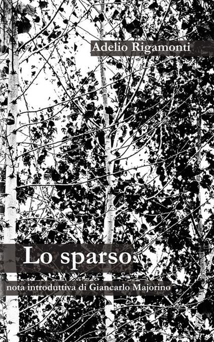Lo sparso - Adelio Rigamonti - copertina