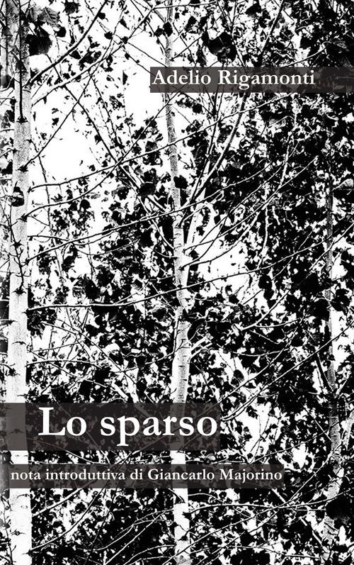 Lo sparso - Adelio Rigamonti - copertina