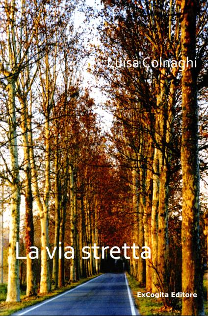 La via stretta - Luisa Colnaghi - copertina