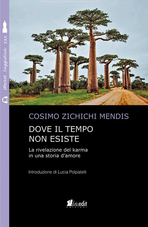 Dove il tempo non esiste - Cosimo Zichichi Mendis - ebook