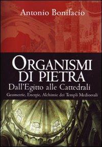 Organismi di pietra. Dall'Egitto alle cattedrali. Geometrie, energie, alchimie dei templi medievali - Antonio Bonifacio - copertina