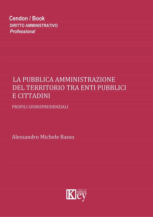 La pubblica amministrazione del territorio tra enti pubblici e cittadini - Alessandro M. Basso - copertina