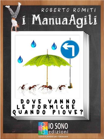 Dove vanno le formiche quando piove - Roberto Romiti - ebook