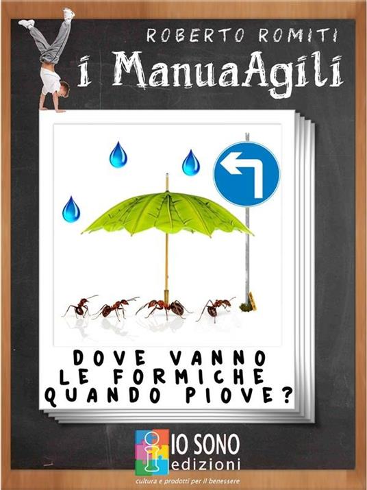 Dove vanno le formiche quando piove - Roberto Romiti - ebook