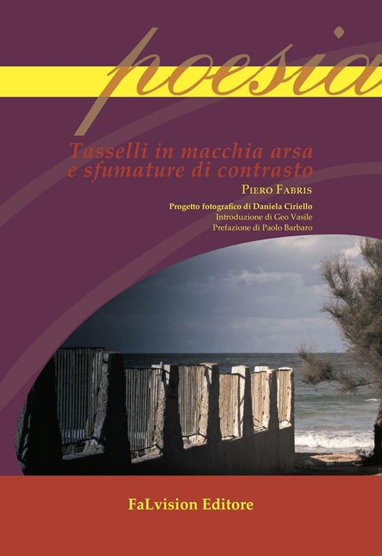 Tasselli in macchia arsa e sfumature di contrasto - Piero Fabris - copertina