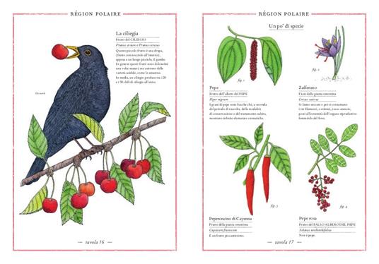 Inventario illustrato dei frutti e degli ortaggi - Emmanuelle Tchoukriel,Virginie Aladjidi - 2