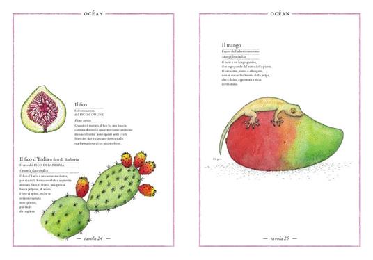 Inventario illustrato dei frutti e degli ortaggi - Emmanuelle Tchoukriel,Virginie Aladjidi - 4