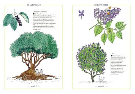 Inventario illustrato degli alberi - Emmanuelle Tchoukriel,Virginie Aladjidi - 2