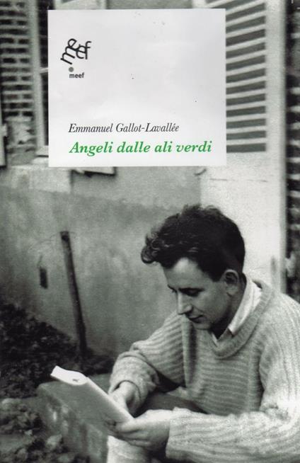 Angeli dalle ali verdi - Emmanuel Gallot-Lavallée - copertina