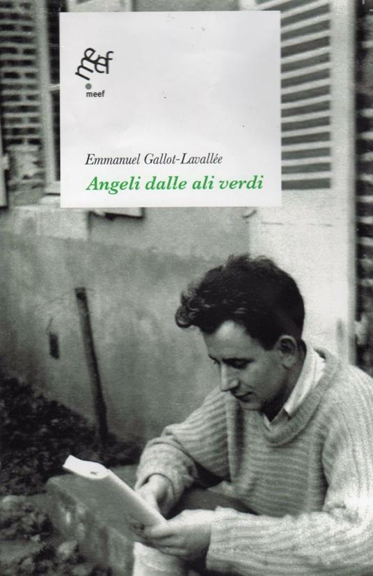 Angeli dalle ali verdi - Emmanuel Gallot-Lavallée - copertina