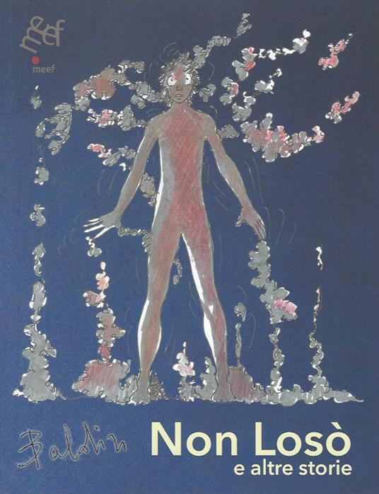 Non Losò e altre storie - Loredana Baldin - copertina