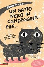 Un gatto nero in candeggina finì... 35 haiku per bambini di ogni età. Ediz. illustrata