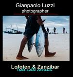 Lofoten & Zanzibar. Isole nelle correnti. Ediz. illustrata