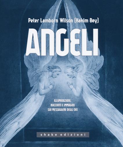 Angeli. Illuminazioni, racconti e immagini sui messaggeri - Peter L. Wilson - copertina