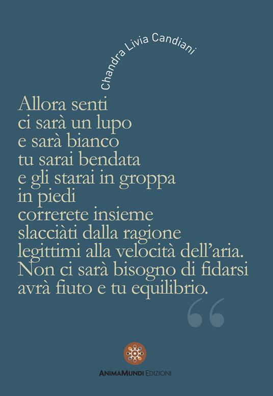 Allora senti ci sarà un lupo e tu sarai bendata... - copertina