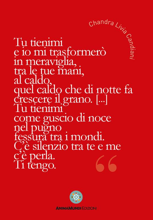 Tu tienimi e io mi trasformerò in meraviglia - copertina
